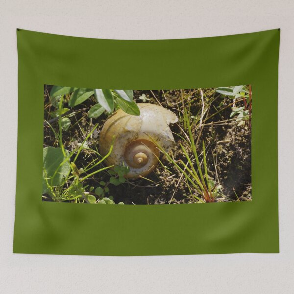Item preview, Snail Spiral designed and sold by Scott Dovey.