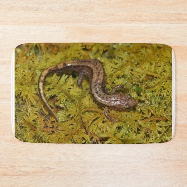 Item preview, Allegheny Mountain Dusky Salamander (Desmognathus ochrophaeus) designed and sold by Pauline Catling.