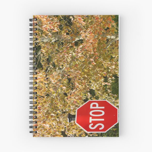 Item preview, Stop Fall designed and sold by Scott Dovey.