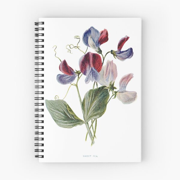 Item preview, Sweet Pea Flower Victorian Illustration designed and sold by simpson92.
