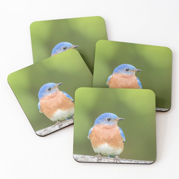 Item preview, Beautiful male Eastern Bluebird perched green background designed and sold by Rabbitti.