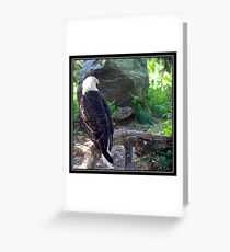 ENDANGERED BEAUTY Greeting Card