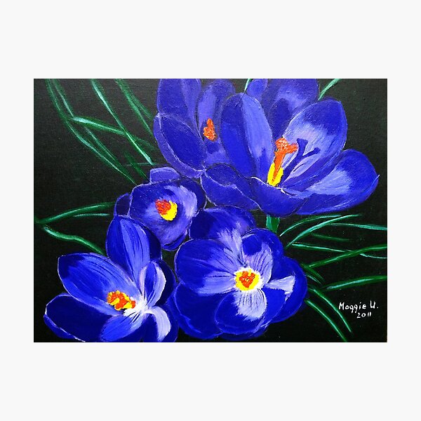 Artikelvorschau, spring crocus entworfen und verkauft von maggie326.