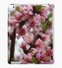 Ode to Spring - Please view larger iPad Case/Skin
