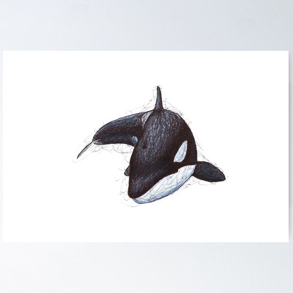 Original Katina and Taku Drawing, Killer Whale Drawing, Orca authentic Illustration, Color Pencil Drawing