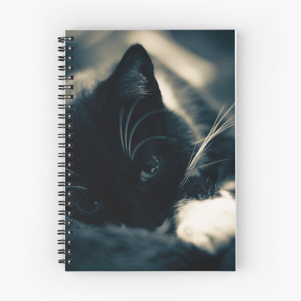 Item preview, A Cat Snooze designed and sold by SteveJSmith42.