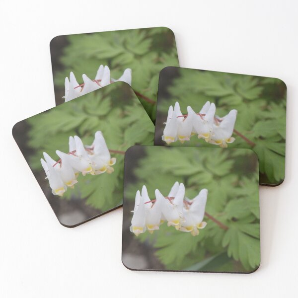 Item preview, Dutchman's breeches  (Dicentra cucullaria) designed and sold by Pauline Catling.