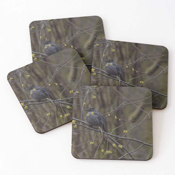 Item preview, Gray Catbird designed and sold by Pauline Catling.