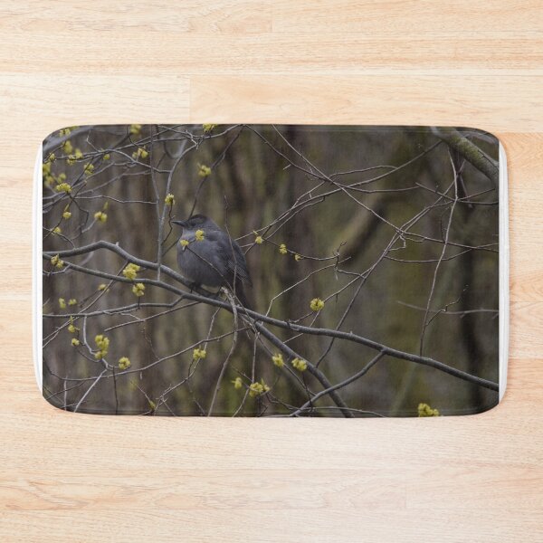 Item preview, Gray Catbird designed and sold by Pauline Catling.