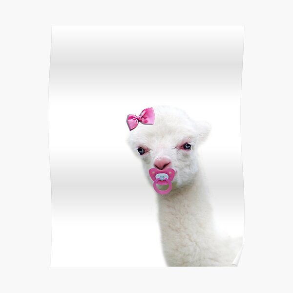 Baby Alpaca or Llama with pink pacifier Poster