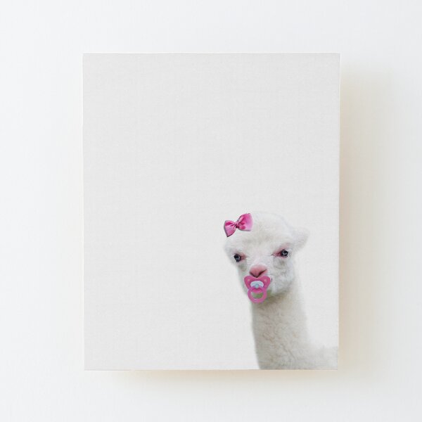 Baby Alpaca or Llama with pink pacifier Wood Mounted Print
