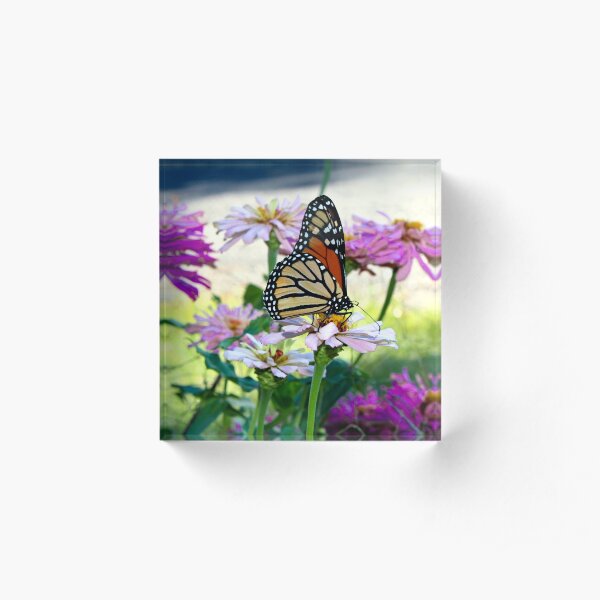 Monarch Butterfly Among Flowers Acrylic Block