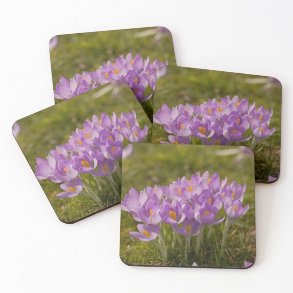 Item preview, Crocus' blooming in early Spring designed and sold by Jon Lees.