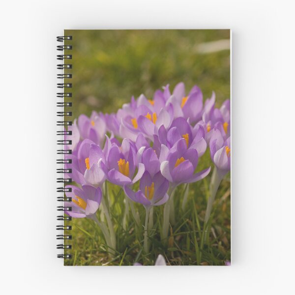 Item preview, Crocus' blooming in early Spring designed and sold by Jon Lees.
