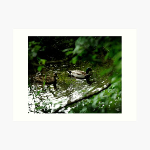 Two Little Ducks Art Print