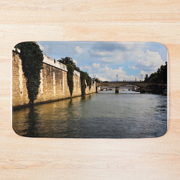 Item preview, Fleuve La Seine, Paris, France designed and sold by Yannik Hay.
