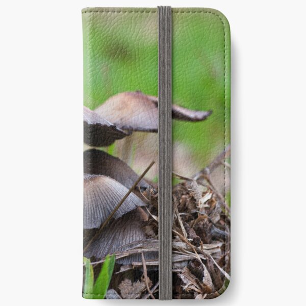 Mushrooms. Macrophotography iPhone Wallet