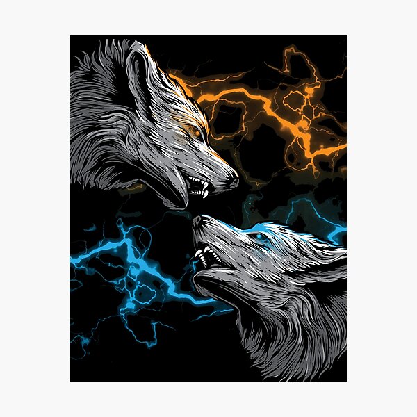 Yin Yang Wolves Photographic Prints for Sale