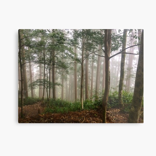 Item preview, Cedar Mist designed and sold by Darren Freak.
