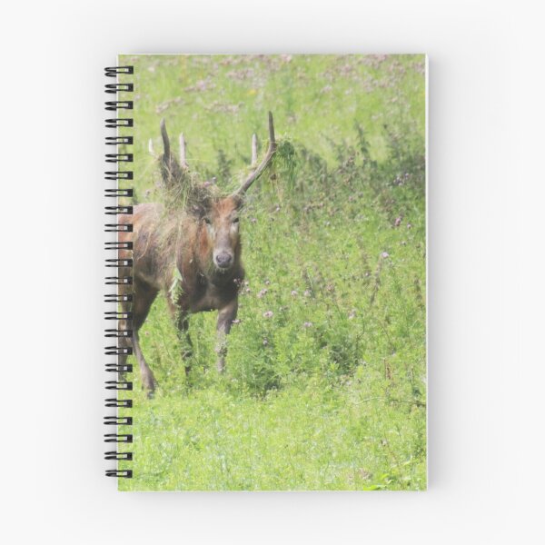 Artikelvorschau, Père David's Deer entworfen und verkauft von Jo Nijenhuis.