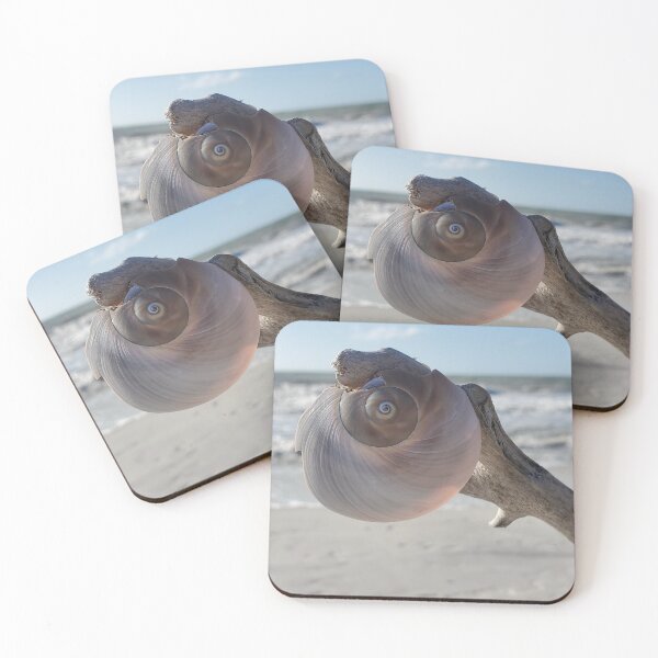 Item preview, Snail Shell  designed and sold by Amanda Huggins.
