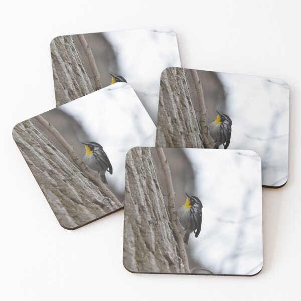 Item preview, Yellow-throated Warbler - Point Pelee National Park designed and sold by Pauline Catling.