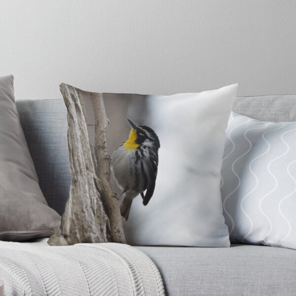 Item preview, Yellow-throated Warbler - Point Pelee National Park designed and sold by Pauline Catling.