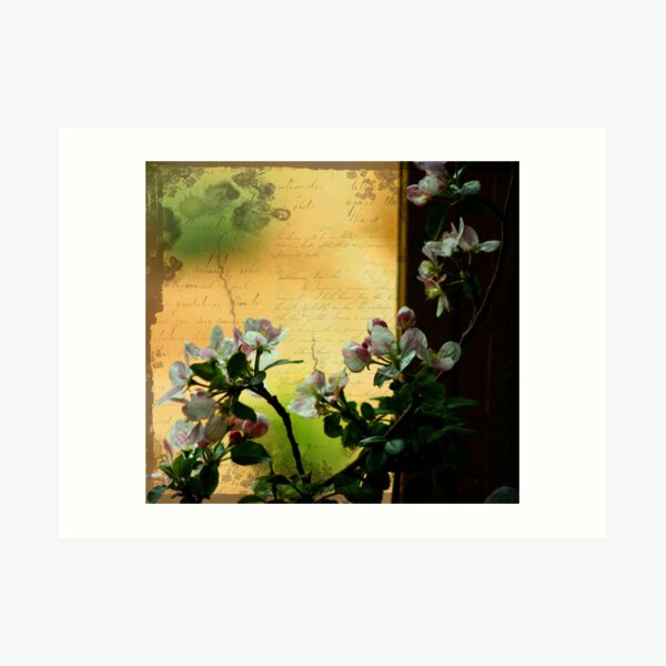 apple blossoms thru the green by CheyAnne Sexton Art Print