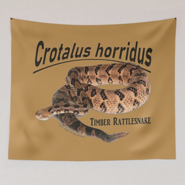 Item preview, Timber Rattlesnake - Crotalus horridus designed and sold by 28TEES.