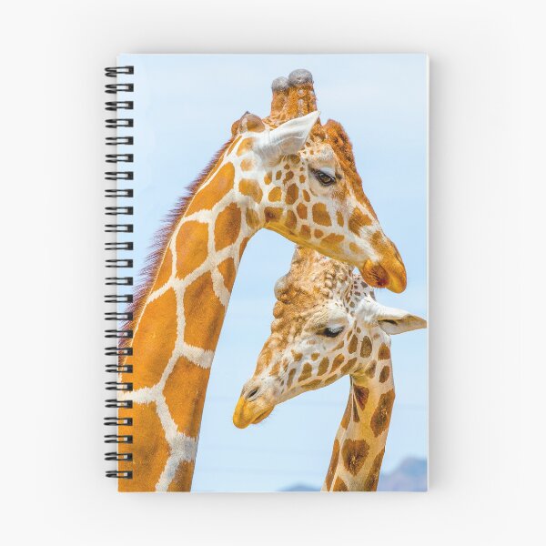 Aperçu de l'œuvre Paire de girafe créée et vendue par srgreen.