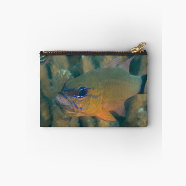 Item preview, Cardinalfish with Eggs designed and sold by Mark Rosenstein.