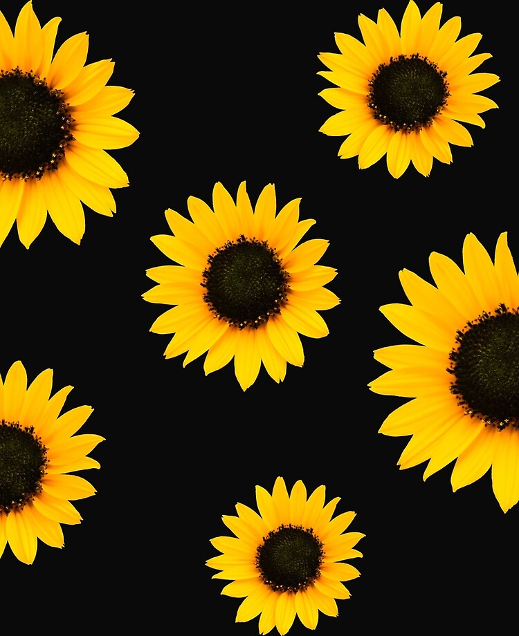 Funda y vinilo para iPad «Patrón de girasol - Negro» de bohoDecor |  Redbubble