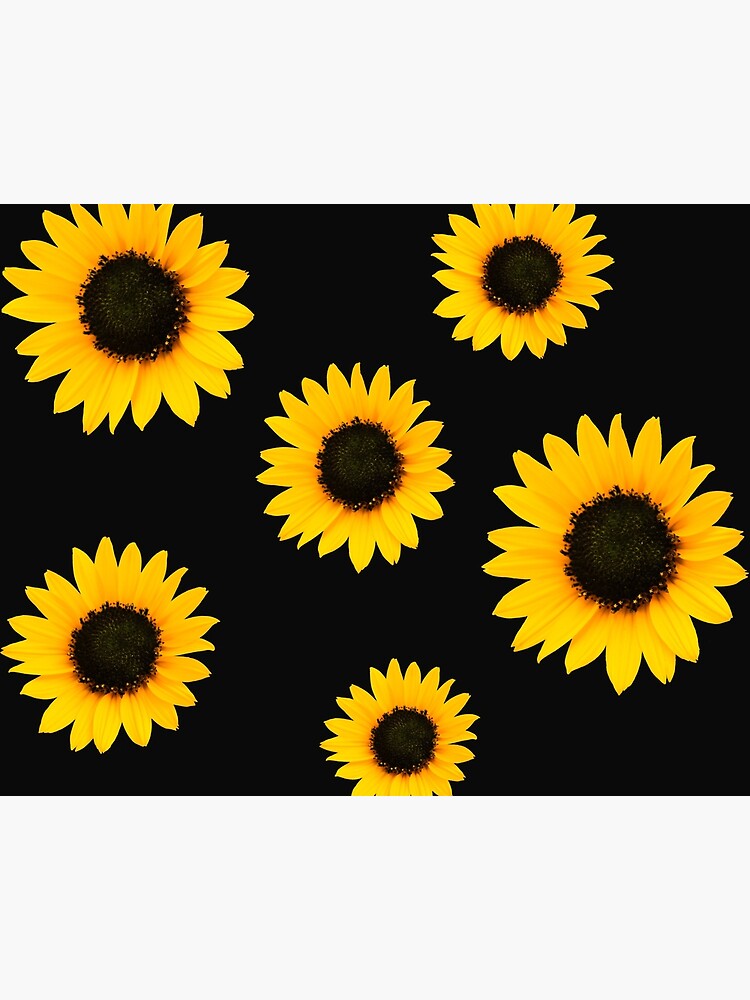 Lámina rígida «Patrón de girasol - Negro» de bohoDecor | Redbubble