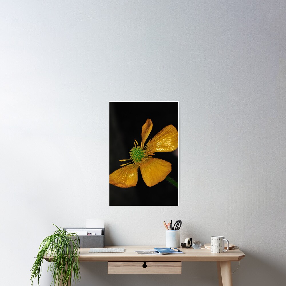 Item preview, Poster designed and sold by pauleden.