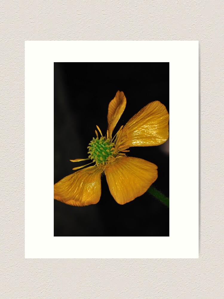 Alternate view of Tired Yet Vibrant Art Print