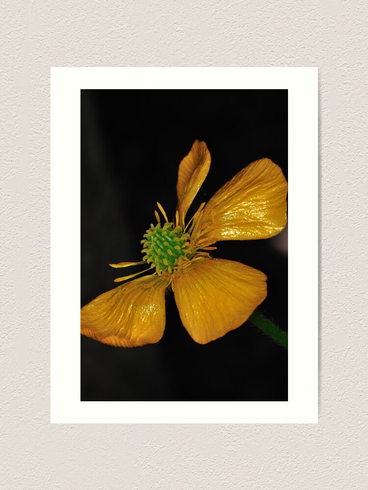 Alternate view of Tired Yet Vibrant Art Print