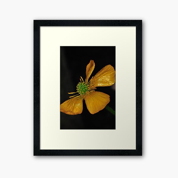 Tired Yet Vibrant Framed Art Print