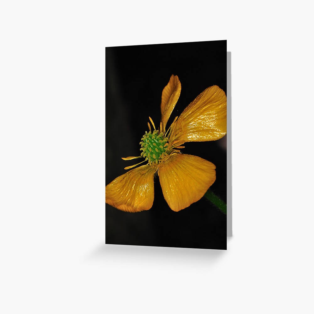 Item preview, Greeting Card designed and sold by pauleden.