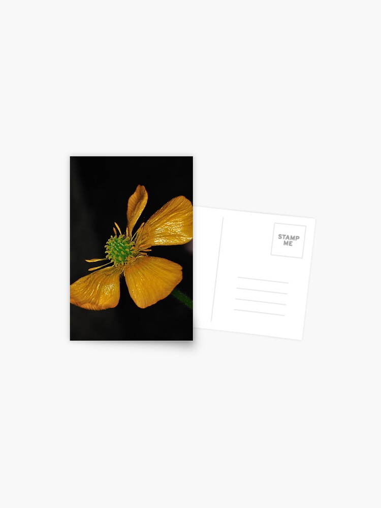 Thumbnail 1 of 2, Postcard, Tired Yet Vibrant designed and sold by Paul Eden.
