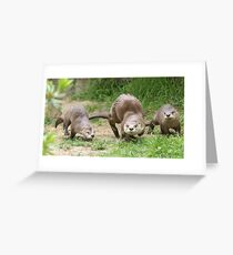 Otters together Greeting Card