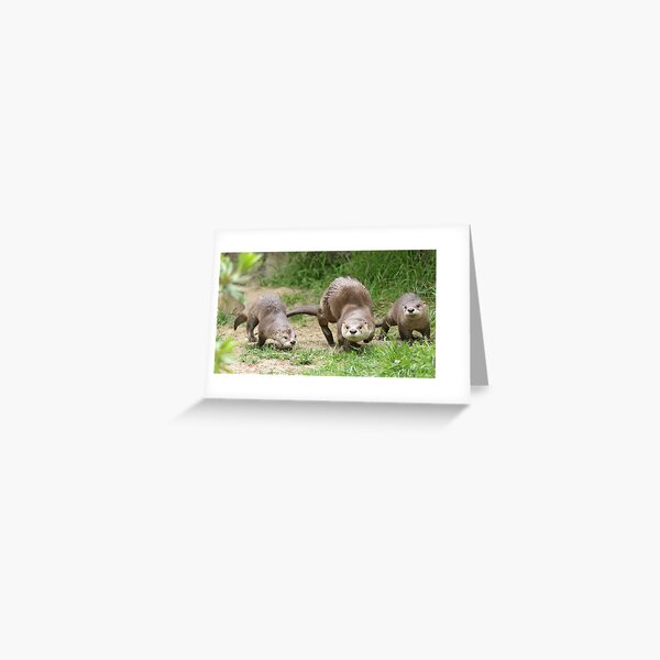 Otters together Greeting Card