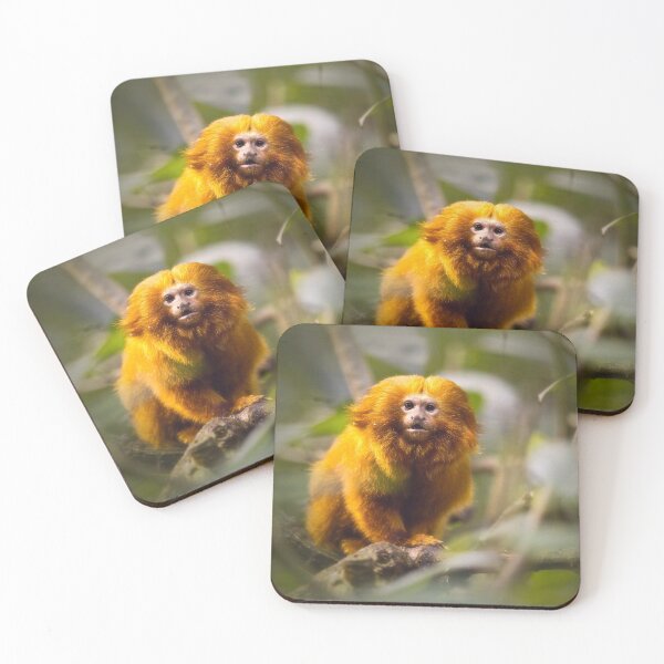 Item preview, Golden Lion Tamarin designed and sold by Yannik Hay.