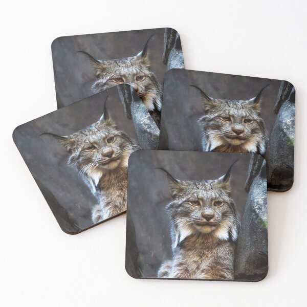 Item preview, Canada Lynx designed and sold by Yannik Hay.