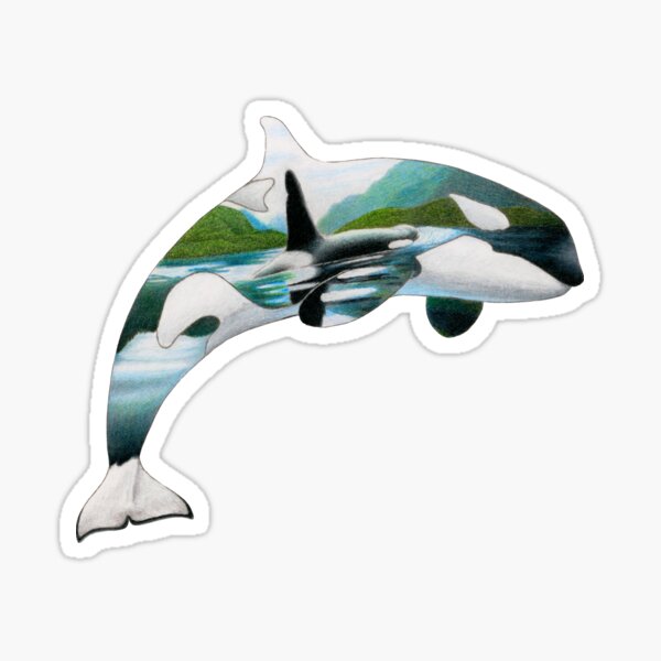 Item preview, Kasatka the Killer Whale Silhouette designed and sold by ArtyOrca.