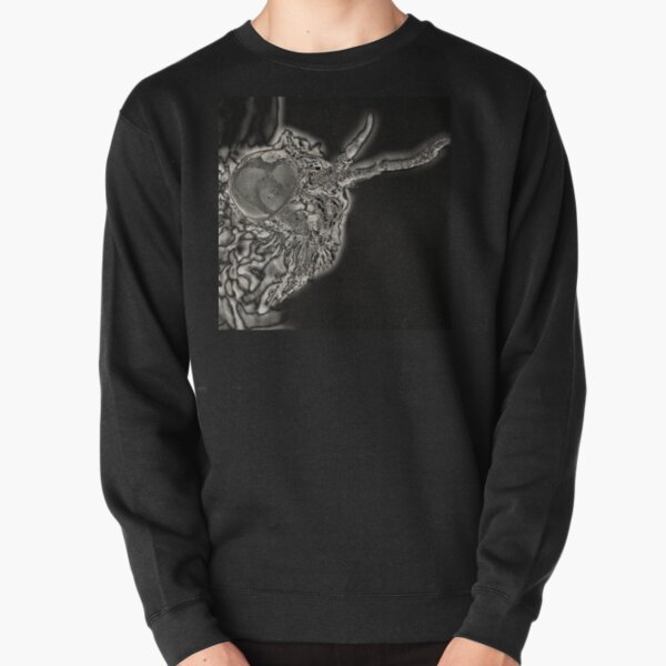 Spectral Darkness 13 Pullover Sweatshirt