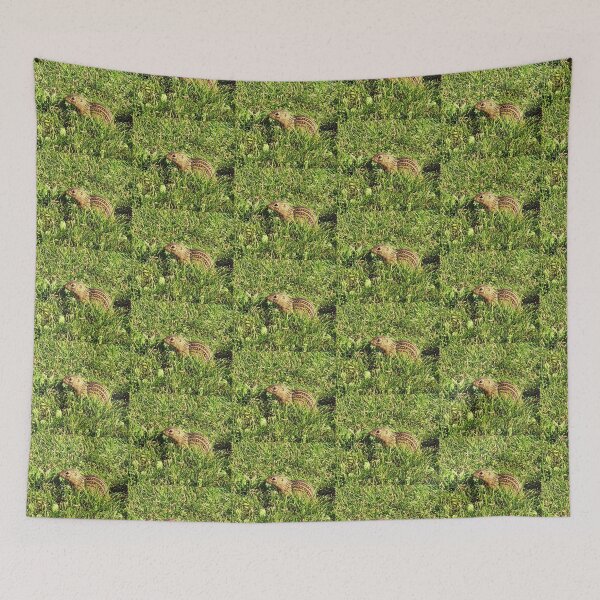 Item preview, Chipmunk designed and sold by Kim Taylor.