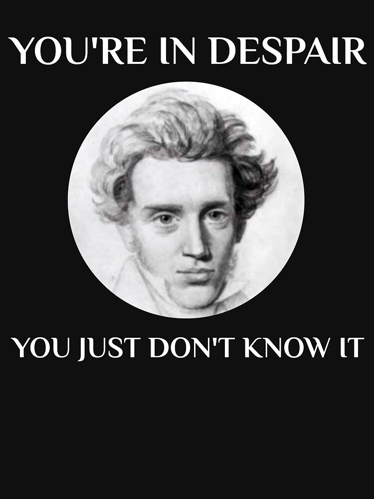 kierkegaard-philosophy-teacher-student-major-philosopher