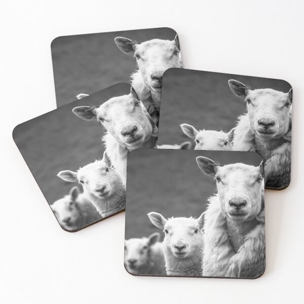 Item preview, 3 Sheep designed and sold by burneygreen.
