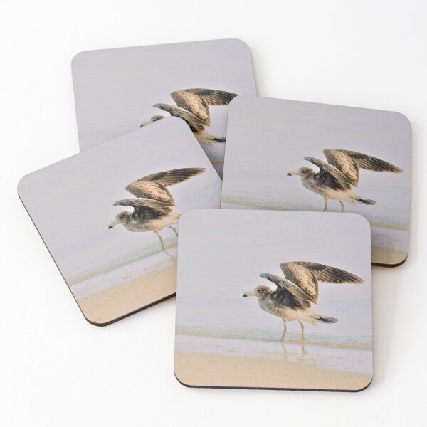 Item preview, Juvenile Pacific gull on the shoreline designed and sold by imaginethis.