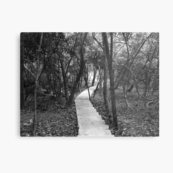 Desend - Stair hills Metal Print
